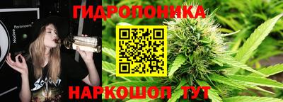 spice Краснознаменск