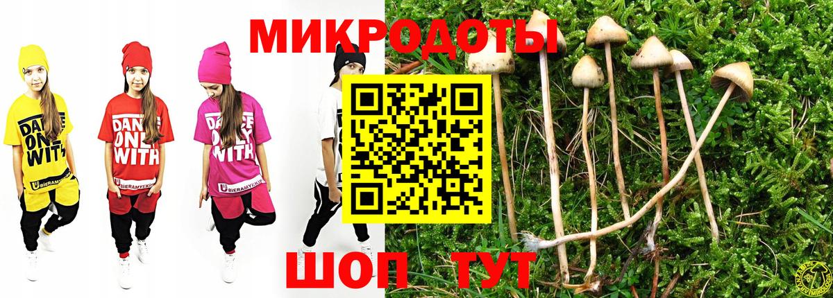 Галлюциногенные грибы Magic Shrooms  Вход с VPN  Дербент 